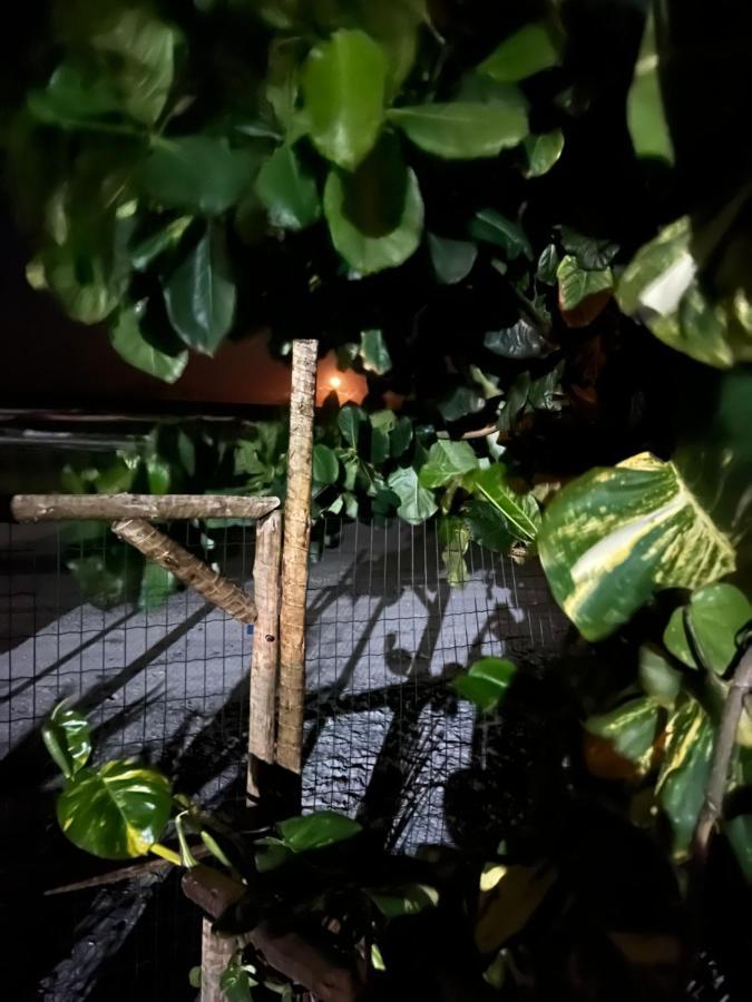 Vila Dos Gnomos Paraiso Mistico Pe Na Areia Ilhéus Exteriér fotografie